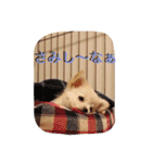 のえるとふぅ（個別スタンプ：10）