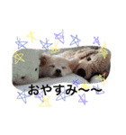 のえるとふぅ（個別スタンプ：11）