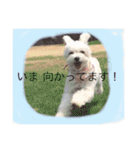 のえるとふぅ（個別スタンプ：12）