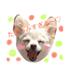 のえるとふぅ（個別スタンプ：13）
