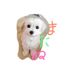 のえるとふぅ（個別スタンプ：16）