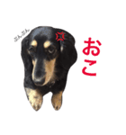 毎日ももさん（個別スタンプ：4）