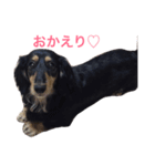 毎日ももさん（個別スタンプ：16）