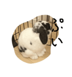 ぴくくん（個別スタンプ：1）