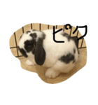 ぴくくん（個別スタンプ：2）