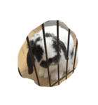 ぴくくん（個別スタンプ：3）