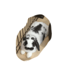 ぴくくん（個別スタンプ：5）