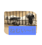 ぴくくん（個別スタンプ：7）