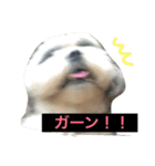 モカララ（個別スタンプ：2）