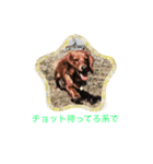 ダックスの内緒話（個別スタンプ：5）