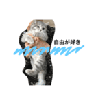 neco.life（個別スタンプ：1）