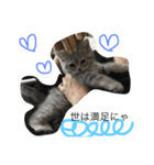 neco.life（個別スタンプ：5）
