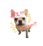 ガイとナシュ（個別スタンプ：15）