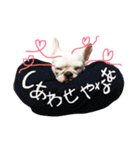 ガイとナシュ（個別スタンプ：35）