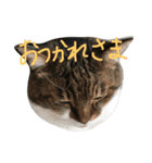 カワイイ♡るー（個別スタンプ：2）