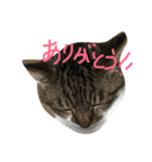 カワイイ♡るー（個別スタンプ：4）