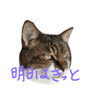 カワイイ♡るー（個別スタンプ：10）