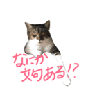 カワイイ♡るー（個別スタンプ：13）