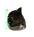 カワイイ♡るー（個別スタンプ：14）