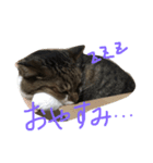 カワイイ♡るー（個別スタンプ：16）