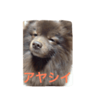ぷうやん（個別スタンプ：2）