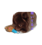 ぷうやん（個別スタンプ：3）