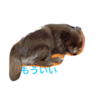 ぷうやん（個別スタンプ：5）