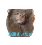 ぷうやん（個別スタンプ：7）