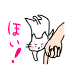 ねこさんのゆるっとスタンプ2（個別スタンプ：20）
