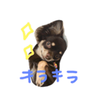 ナチュの日常2（個別スタンプ：7）