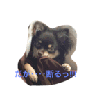 ナチュの日常2（個別スタンプ：9）