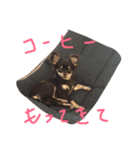 ナチュの日常2（個別スタンプ：14）