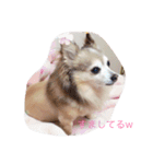 そらの日常（個別スタンプ：1）