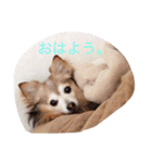 そらの日常（個別スタンプ：5）