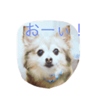 そらの日常（個別スタンプ：6）