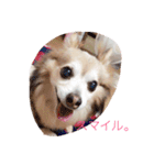そらの日常（個別スタンプ：7）