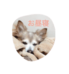 そらの日常（個別スタンプ：8）