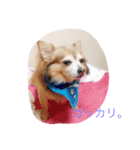 そらの日常（個別スタンプ：11）