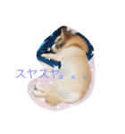 そらの日常（個別スタンプ：15）