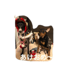 パンチ＆コチョ（個別スタンプ：4）