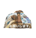 パンチ＆コチョ（個別スタンプ：8）