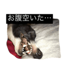パンチ＆コチョ（個別スタンプ：9）