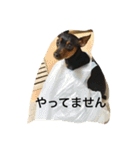 パンチ＆コチョ（個別スタンプ：18）