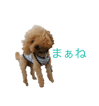 いつも元気なシフォンくん（個別スタンプ：5）