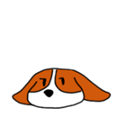 Maku（個別スタンプ：1）
