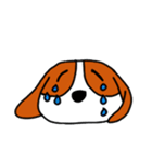 Maku（個別スタンプ：36）