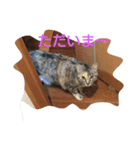 えのきさんの日常（個別スタンプ：2）