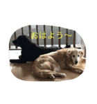 クリスとダイのまったり生活（個別スタンプ：2）