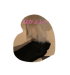 クリスとダイのまったり生活（個別スタンプ：8）