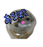 まんまる劇場♪（個別スタンプ：1）